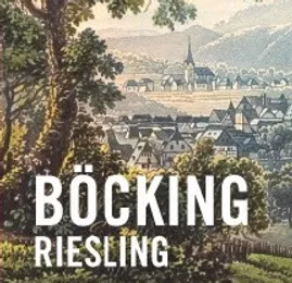 Ryzlink Böcking, polosuché víno